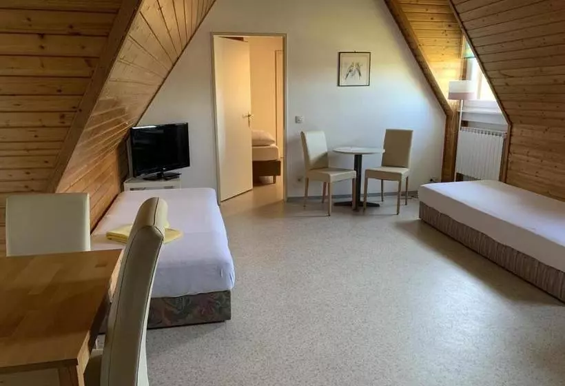 Majatalo Gästehaus An Der Rheinbrücke