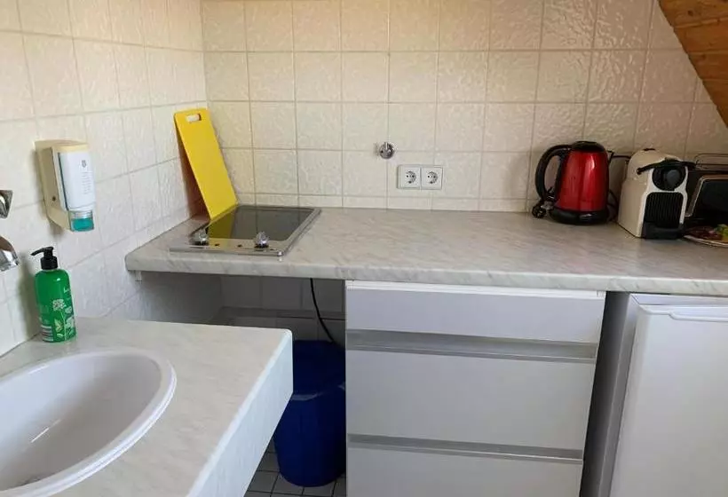 Majatalo Gästehaus An Der Rheinbrücke