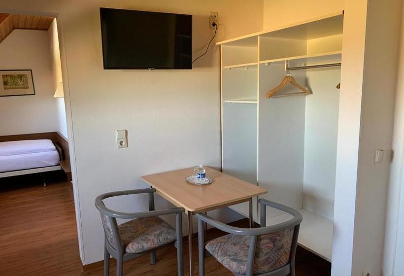 Пансион Gästehaus An Der Rheinbrücke