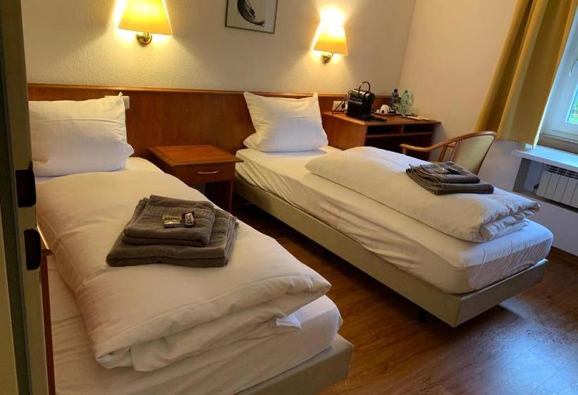 Пансион Gästehaus An Der Rheinbrücke