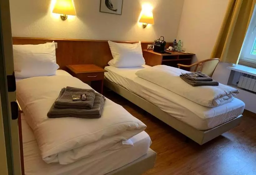 Majatalo Gästehaus An Der Rheinbrücke