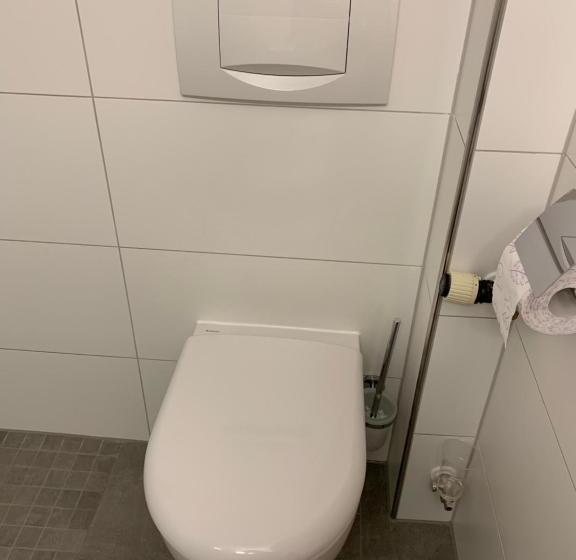 Пансион Gästehaus An Der Rheinbrücke