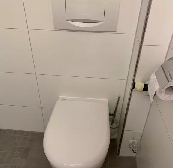 Majatalo Gästehaus An Der Rheinbrücke