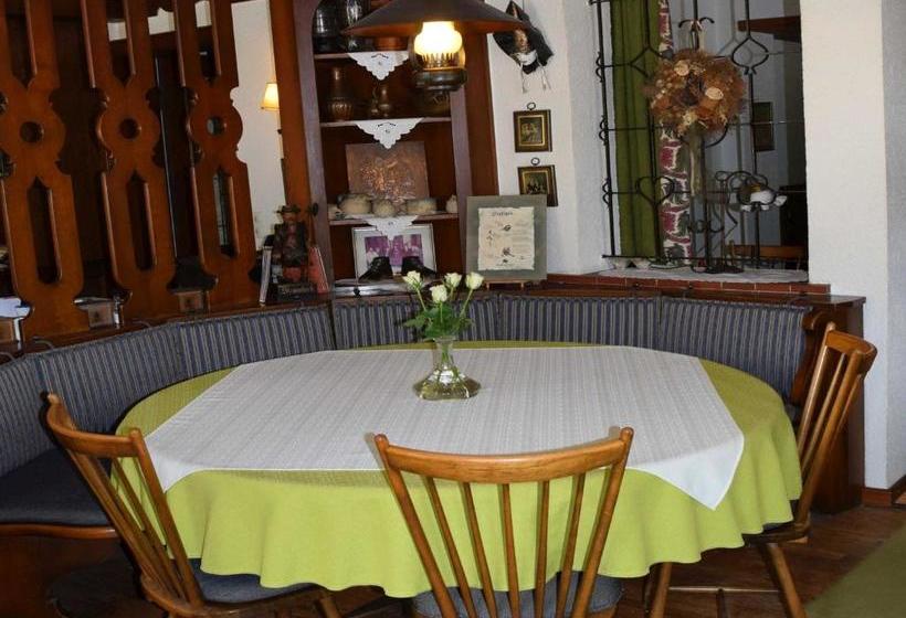 Пансион Restaurant Ochsen