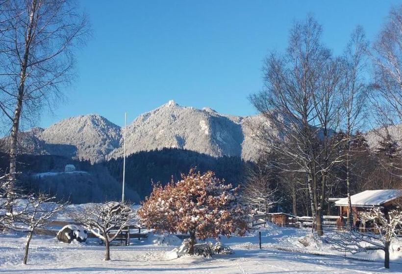 פנסיון Villa Bergkristall