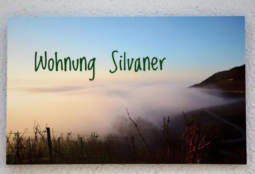 ペンション Winzerhof Düring