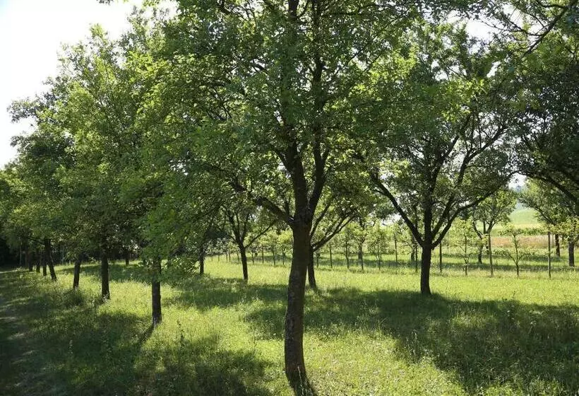 ペンション Winzerhof Düring