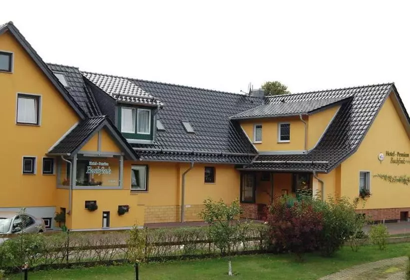 Pension Buchfink