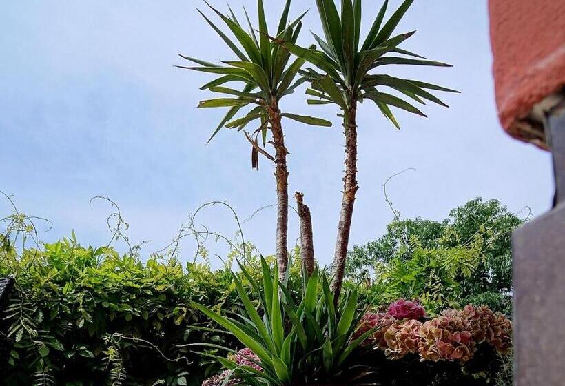 Pension Gaststätte Paradies