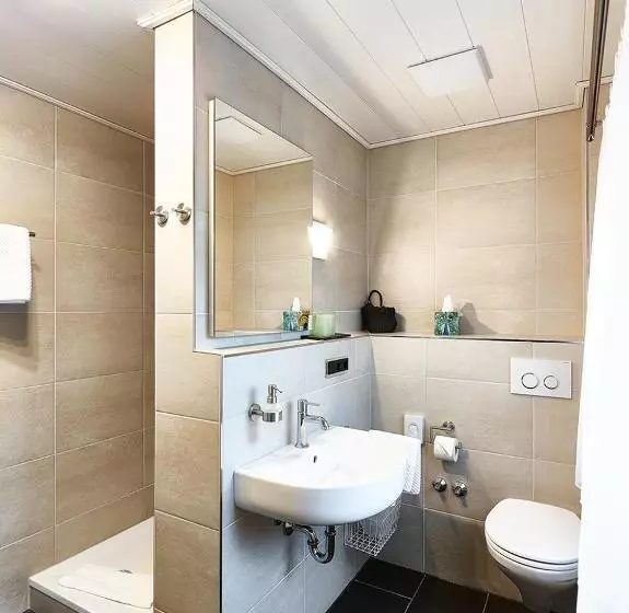 ユースホステル Gasthof Adler