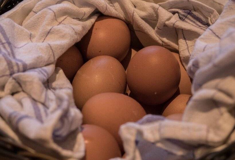 Pensão Gasthof Kampenwand Bernau