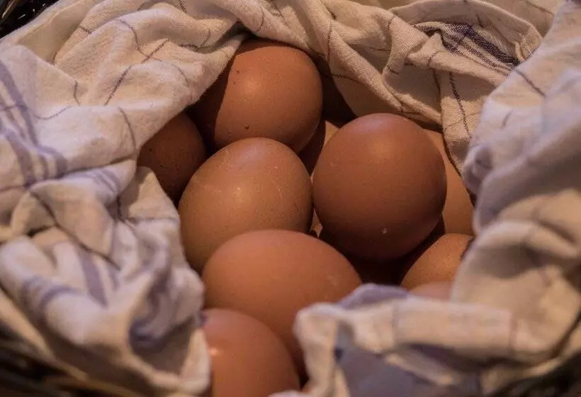 Majatalo Gasthof Kampenwand Bernau