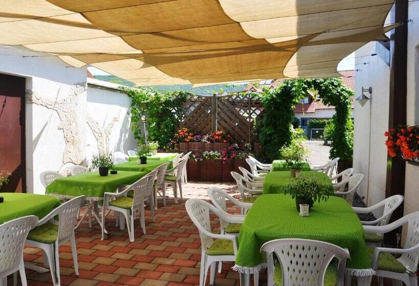 펜션 Gasthof Liederhalle