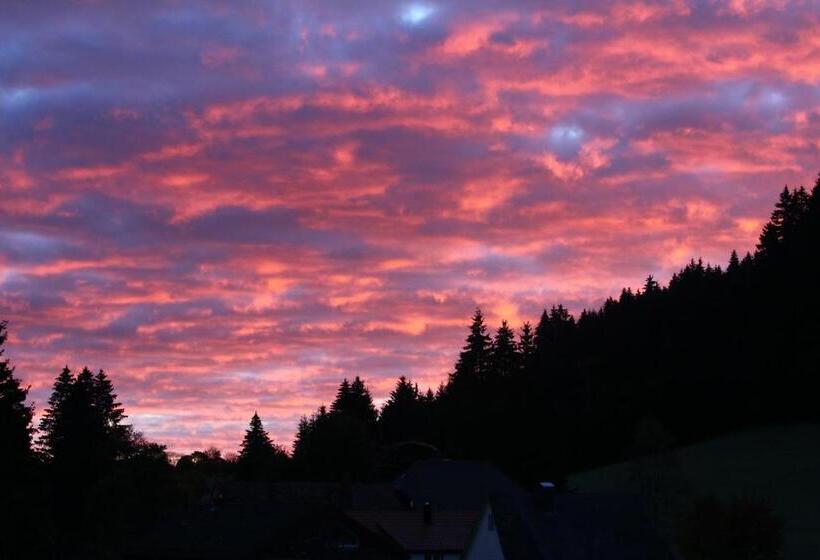 פנסיון Gasthof Schwarzwaldtanne