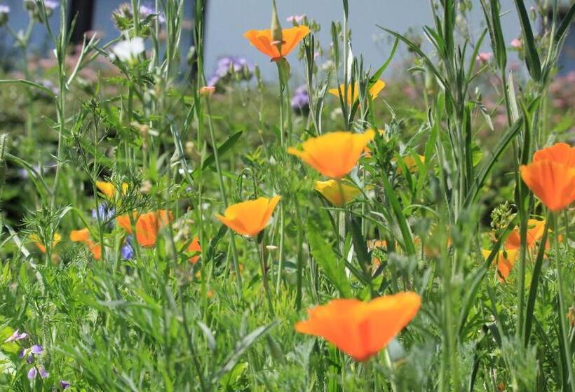 פנסיון Gasthof Schwarzwaldtanne