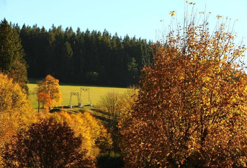 פנסיון Gasthof Schwarzwaldtanne