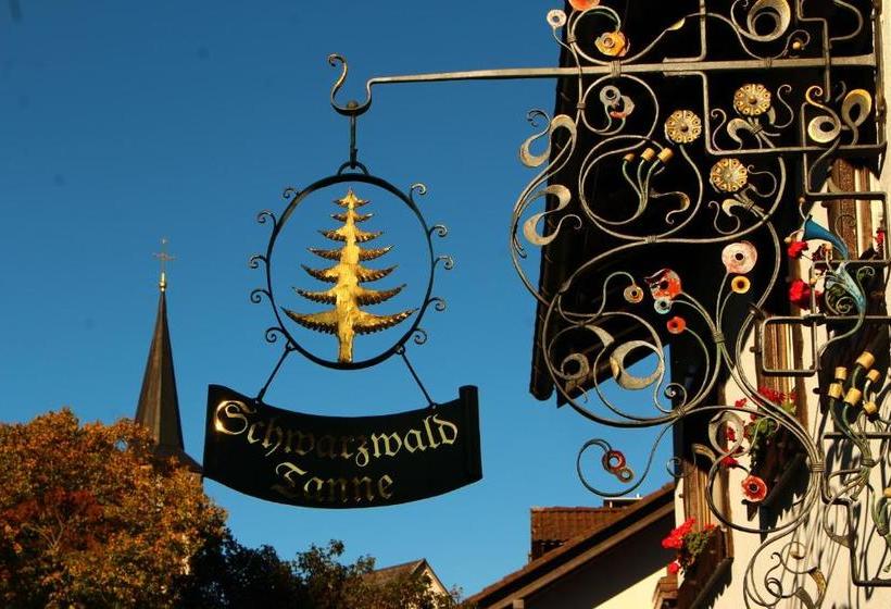 פנסיון Gasthof Schwarzwaldtanne