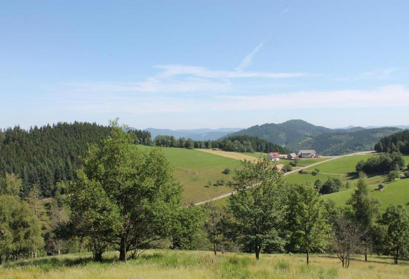 بنسيون Haus Traudel Matt