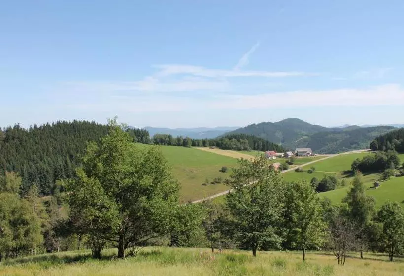 پانسیون Haus Traudel Matt