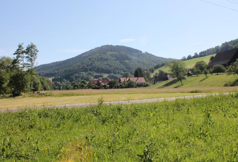 بنسيون Haus Traudel Matt