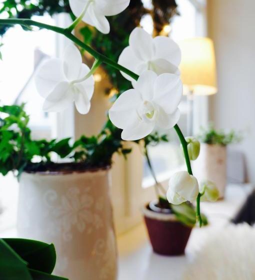 Pensionat Landhaus Esperort