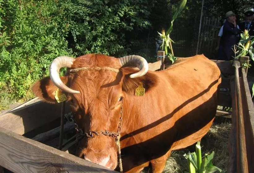 Spreewald Pension Am Spreeschlößchen
