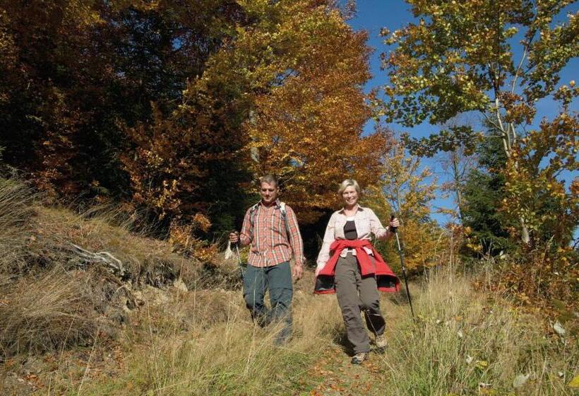 پانسیون Gästehaus Kramer   Emde