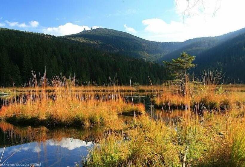 膳宿费 Haus Sonnenbichl