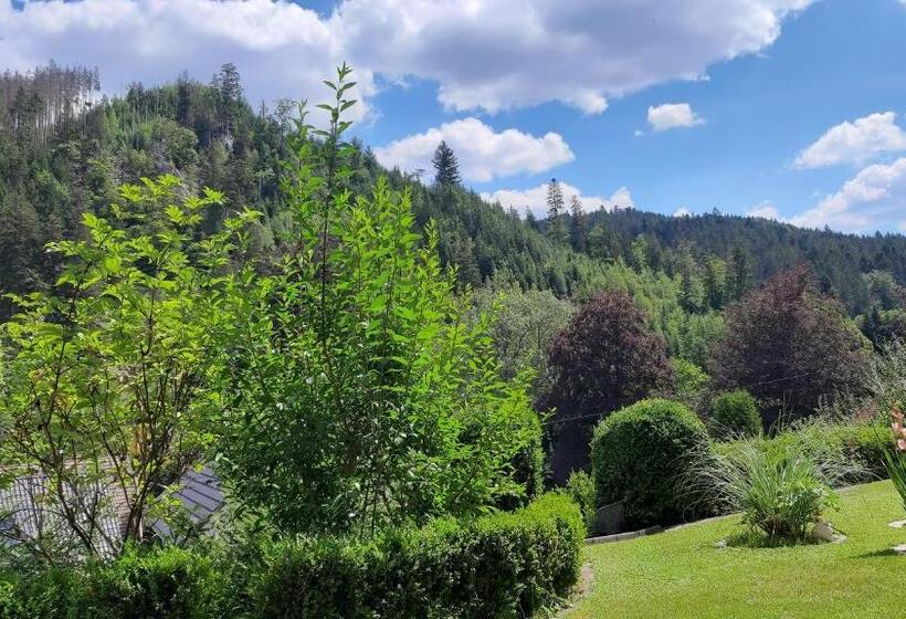 ペンション Landhaus Schwaben