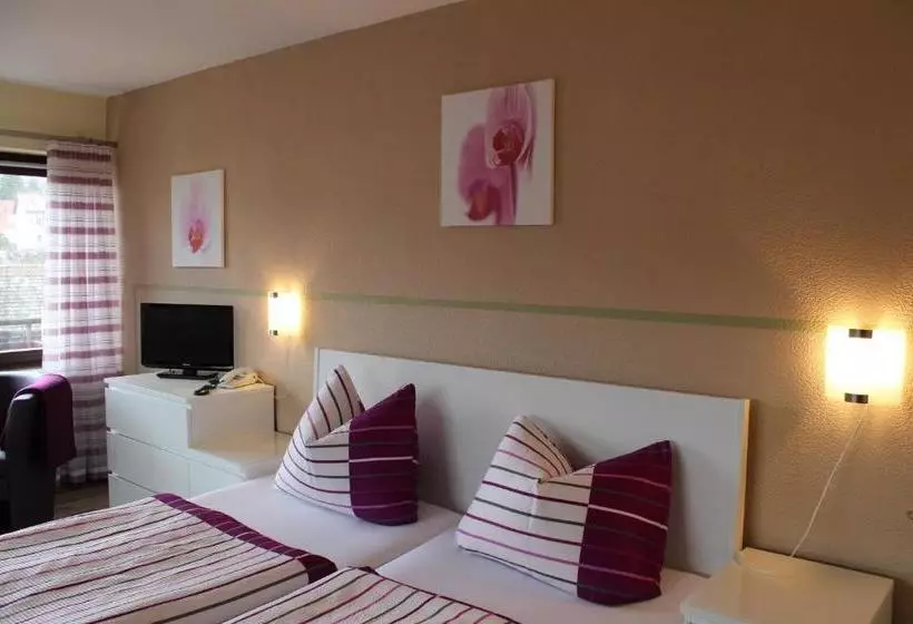 Saaletal Pension & Ferienwohnungen