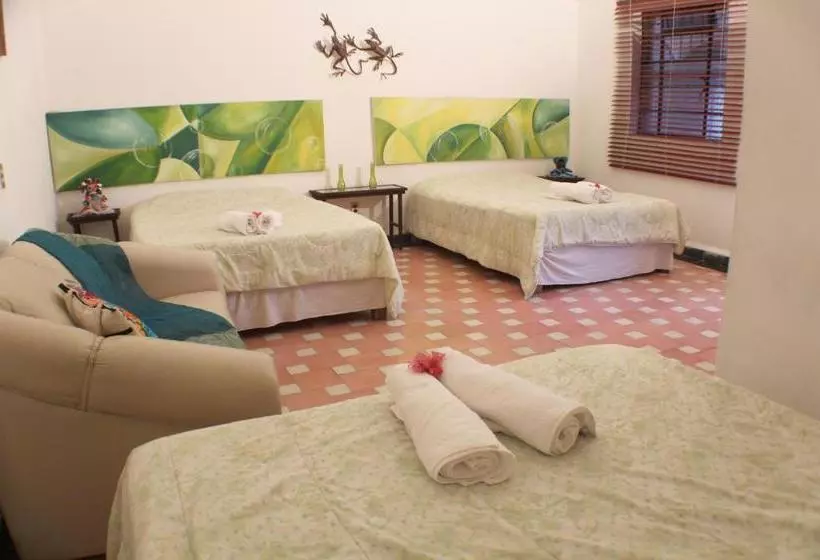 ペンション Casa Madero Rooms