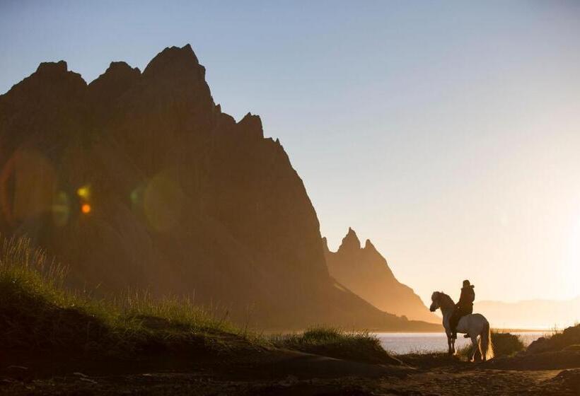 پانسیون Vikingcafe