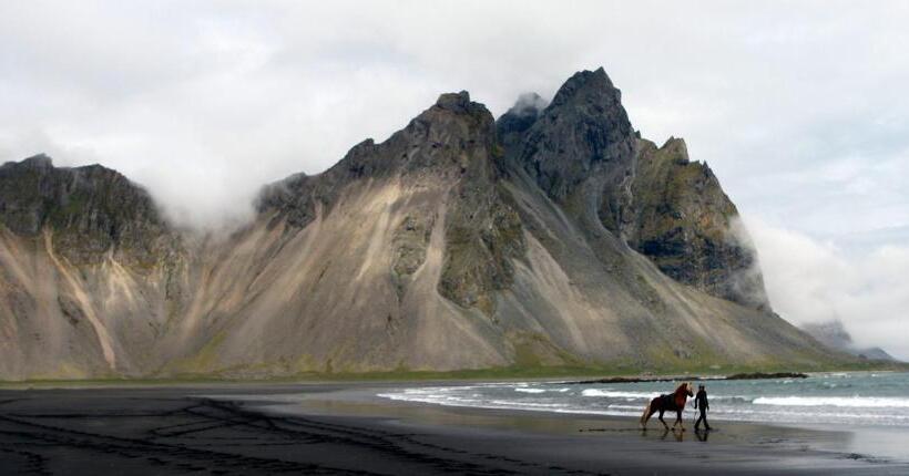 پانسیون Vikingcafe