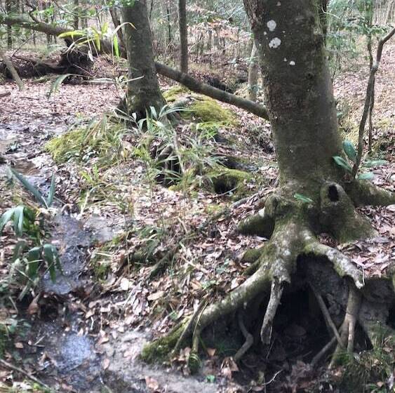 Tallahassee Sun & Moon   Hostel