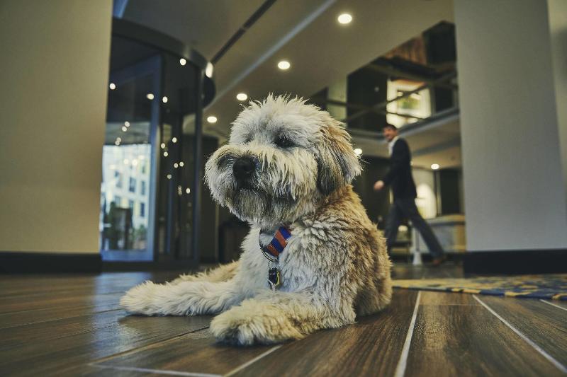 فندق The Draftsman, Autograph Collection