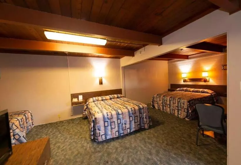 ユースホステル Cedar Inn