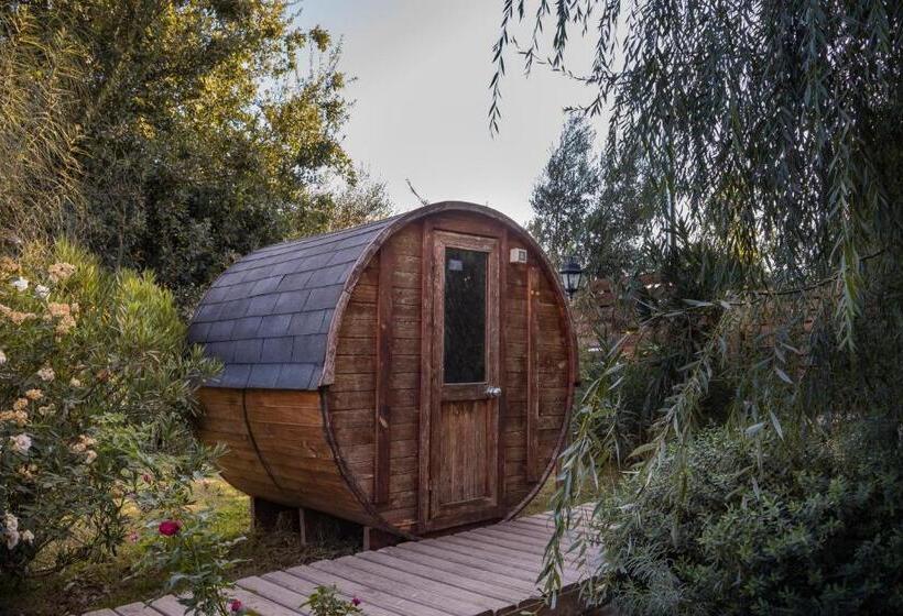 Szálloda Agroturismo Mapuweñimen