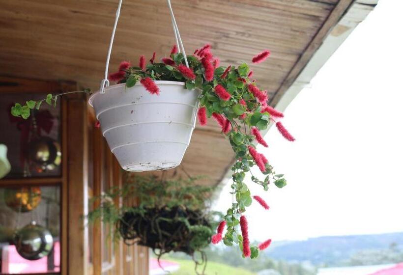 هاستل Finca La Toscana