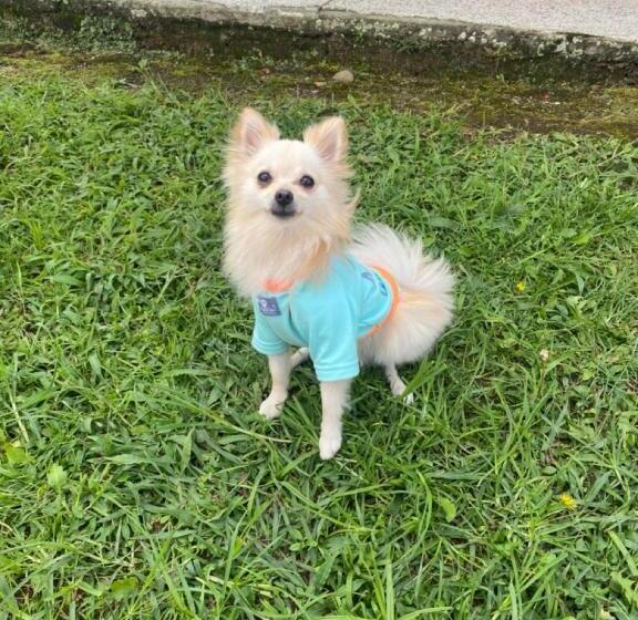 هاستل Finca La Toscana