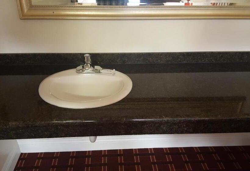 汽车旅馆  Flamingo Inn Long Beach