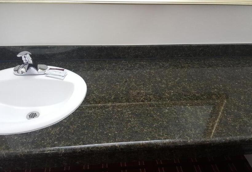 汽车旅馆  Flamingo Inn Long Beach