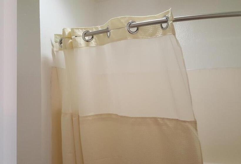 汽车旅馆  Flamingo Inn Long Beach