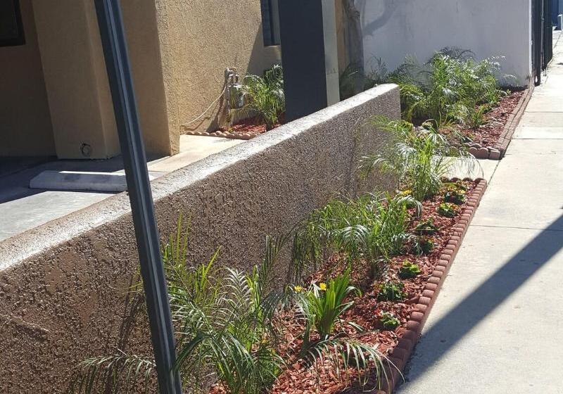 汽车旅馆  Flamingo Inn Long Beach