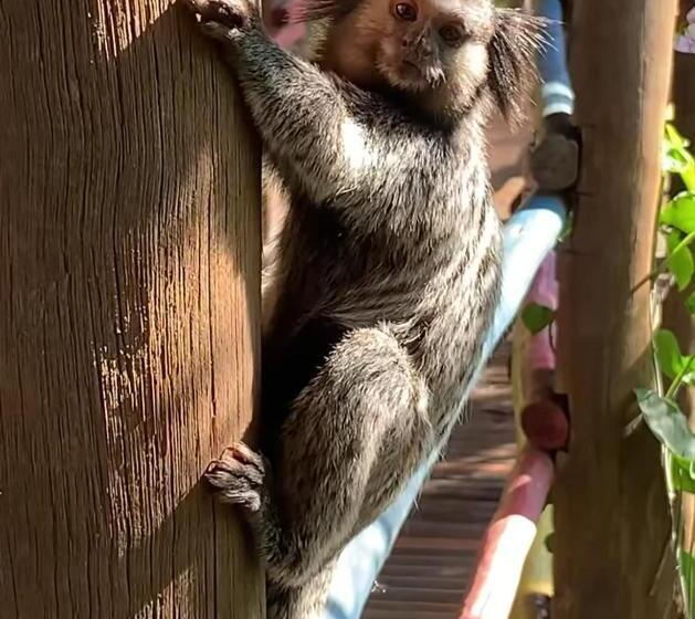 펜션 Aconchego No Campo