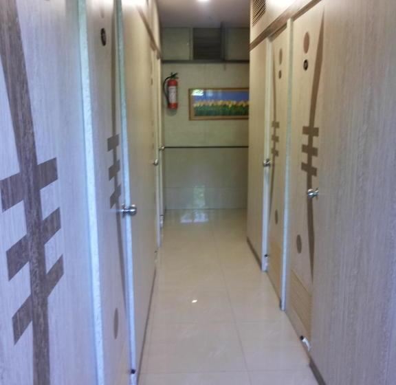 Panzió Apollo Guest House