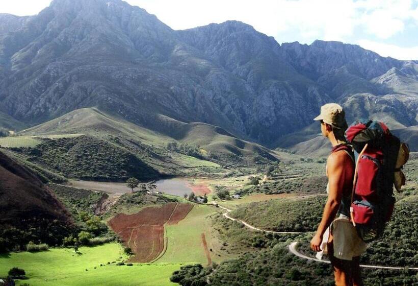 بنسيون Robertson Boutique Backpackers