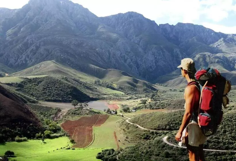 Majatalo Robertson Boutique Backpackers