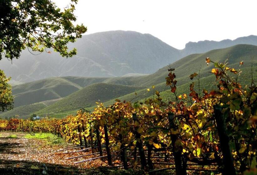 بنسيون Robertson Boutique Backpackers