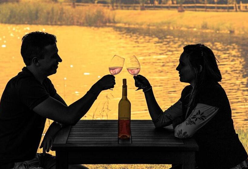 بنسيون Robertson Boutique Backpackers