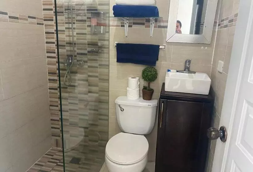 Apartamentos Magallanes Romana